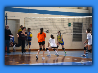 Torneo_Natale_2013 (14).jpg